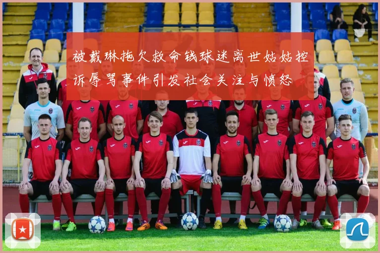 被戴琳拖欠救命钱球迷离世姑姑控诉辱骂事件引发社会关注与愤怒