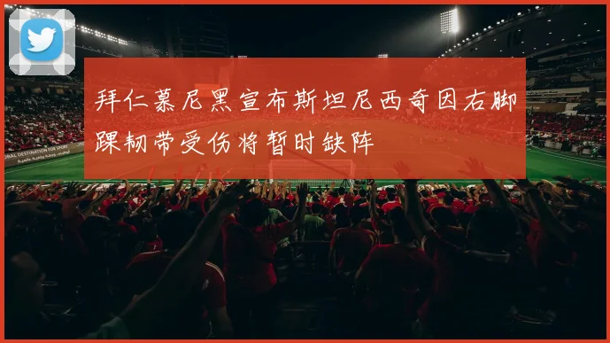 拜仁慕尼黑宣布斯坦尼西奇因右脚踝韧带受伤将暂时缺阵